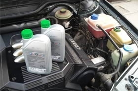 ������ �������� ���